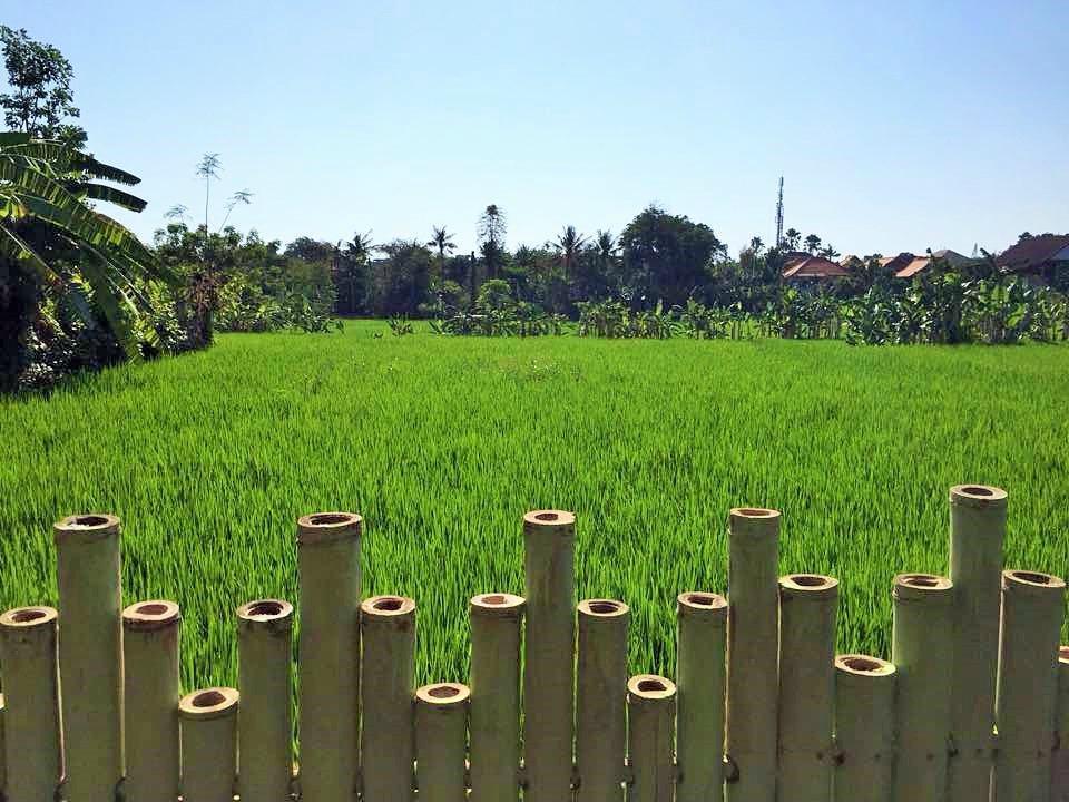 Bali Green Hostel Seminyak  Exterior photo